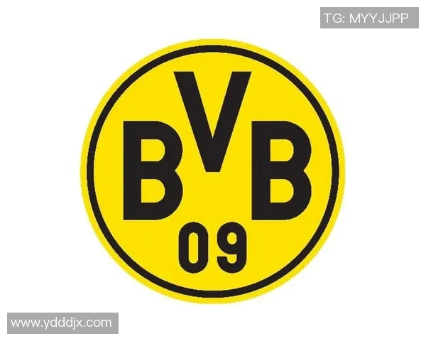 多特蒙德球迷事件引发欧冠禁赛三场并罚款五十万欧元