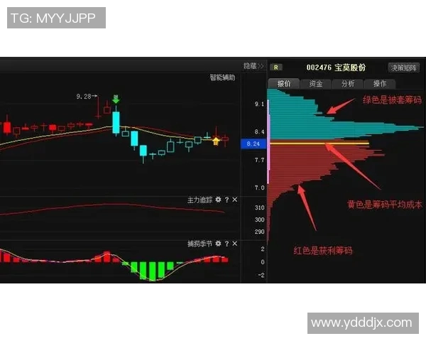 里昂主力阵容全面解析及其在比赛中的表现分析