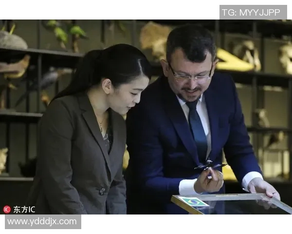 圣保罗与日本攻略全方位对比探讨旅行必备信息与建议 圣保罗与日本攻略全方位对比探讨旅行必备信息与建议